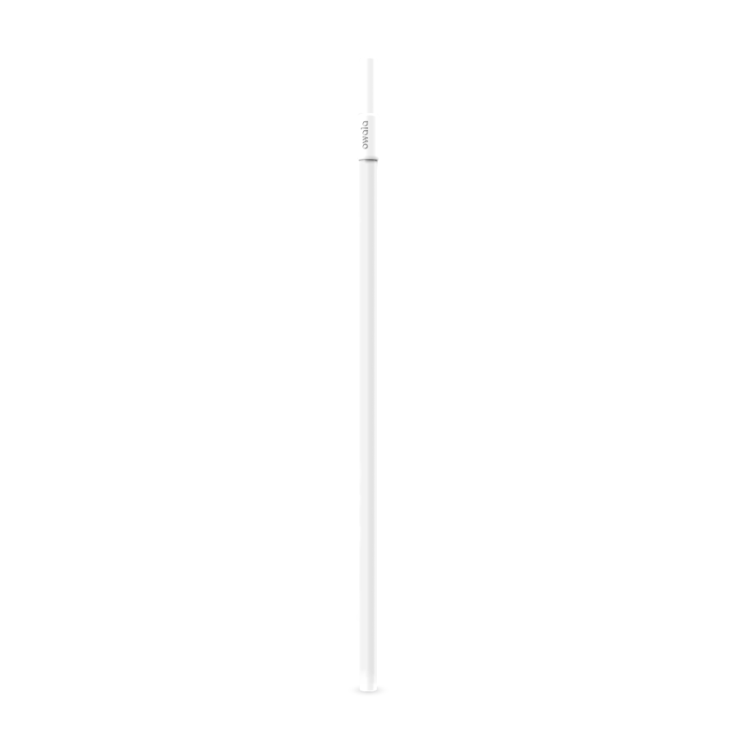Replacement Straws (S26PV)