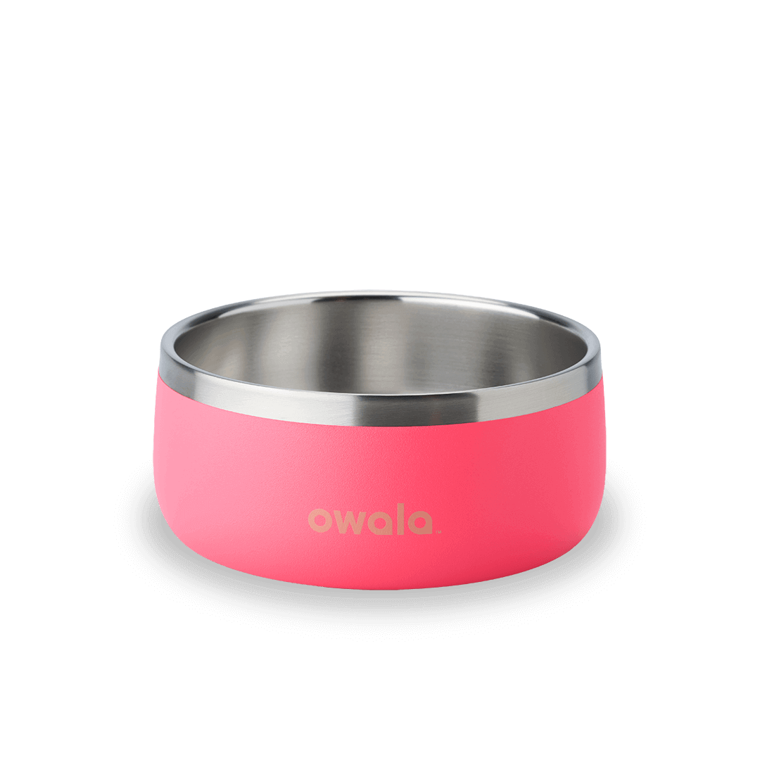 Pet Bowl (S282G)