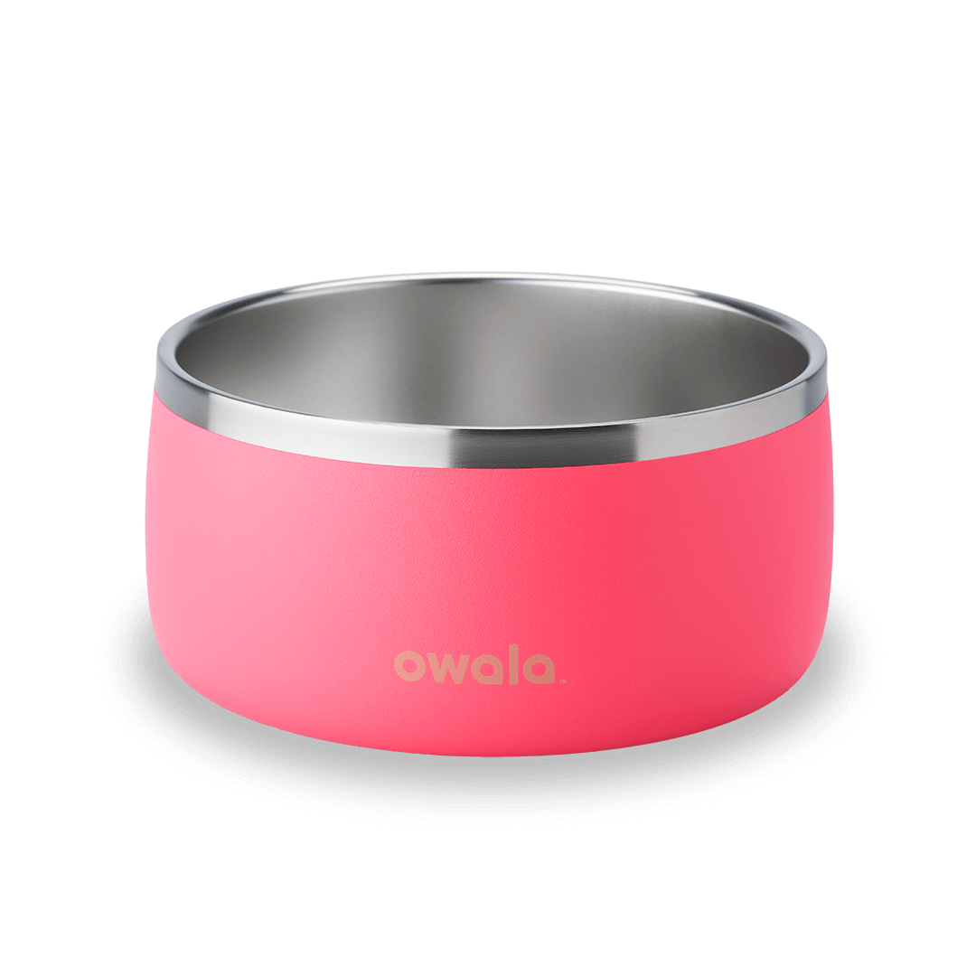 Pet Bowl | Clean Series